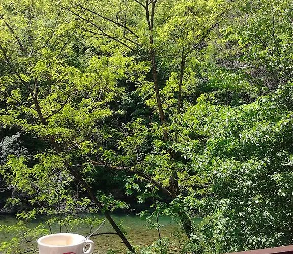 Okrepcevalnica Kurn'k Cerkno